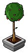 Früchte-Baum