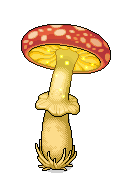 Hoher Pilz