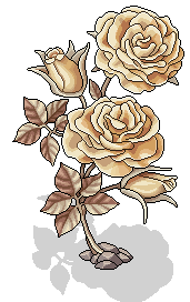 Zauberhafte Rosenblüten
