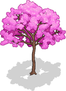 Lapacho-Baum