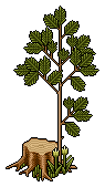 Baum der Freude