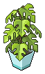 Wellness Baum