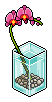 Orchidee