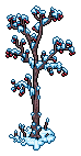 Winterlicher junger Baum