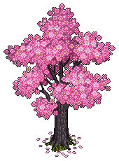 Kirschbaum