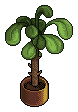 theatre_plant name