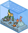 Kugelfisch Aquarium
