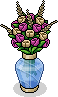Fuchsiafarbene Rosen