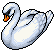 Majestätischer Schwan