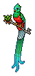 Quetzal